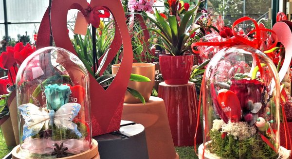 Decoración luminosa, libros y flores permitirán el disfrute de vecinos y visitantes de Torremolinos en San Valentín