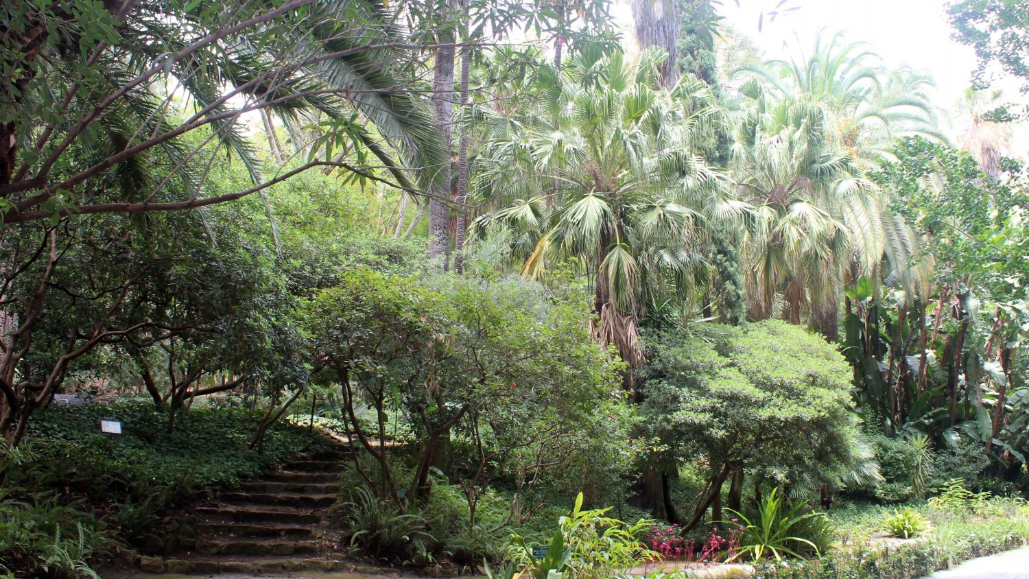 El Ayuntamiento adjudica la instalación de un quiosco de comida y bebida en el Jardín Botánico-Histórico La Concepción