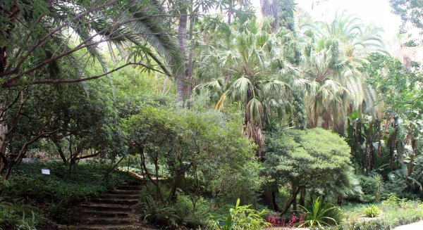 El Ayuntamiento adjudica la instalación de un quiosco de comida y bebida en el Jardín Botánico-Histórico La Concepción