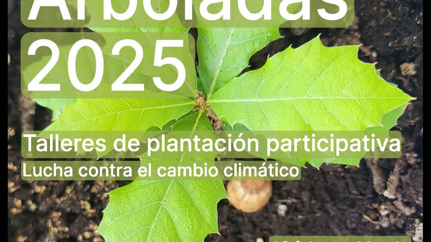 La Diputación inicia este año en Monda sus plantaciones participativas para regenerar espacios de uso ciudadano