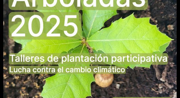 La Diputación inicia este año en Monda sus plantaciones participativas para regenerar espacios de uso ciudadano