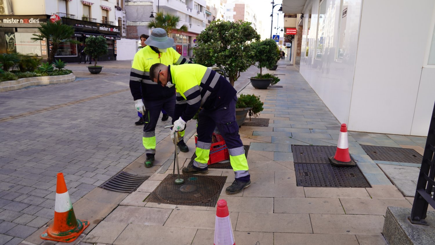 Estepona realiza trabajos de desinsectación y desratización en 426 kilómetros de la red de alcantarillado
