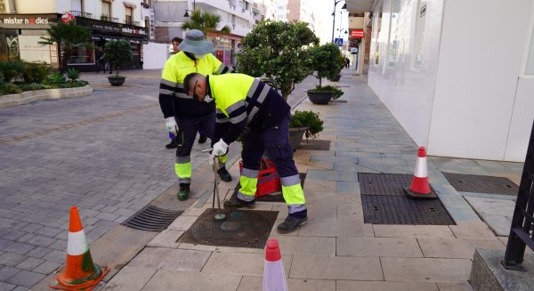 Estepona realiza trabajos de desinsectación y desratización en 426 kilómetros de la red de alcantarillado