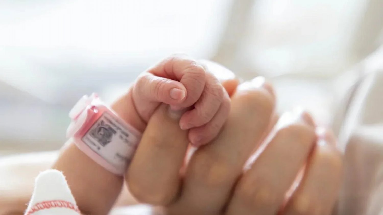 Más de 16.000 progenitores en Málaga disfrutaron de la prestación por nacimiento y cuidado de menor en 2024