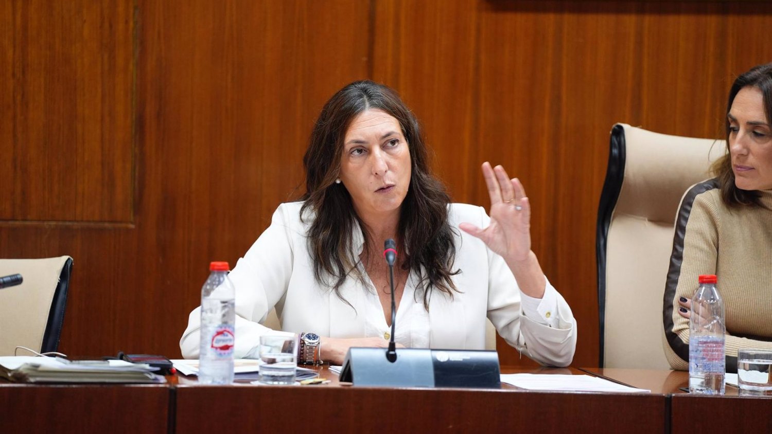 Málaga obtuvo en 2024 un total de 11.642 procedimientos vinculados al reconocimiento de discapacidad