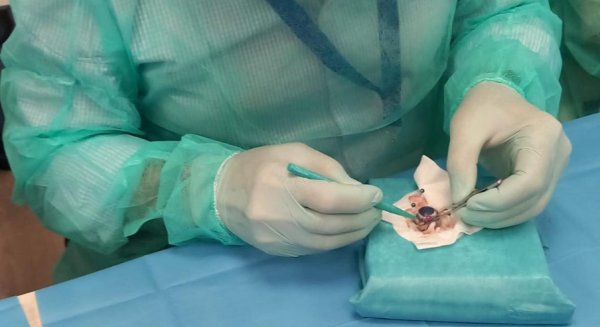 El Hospital de Antequera vuelve a liderar por tercer año consecutivo la donación de córneas entre los hospitales comarcales andaluces