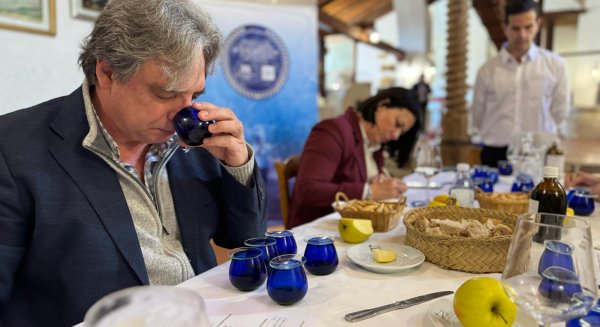 Las almazaras Finca La Torre, Hacienda de Colchado y El Labrador, ganadoras del  Mejor Aceite de Oliva Virgen Extra de la Provincia