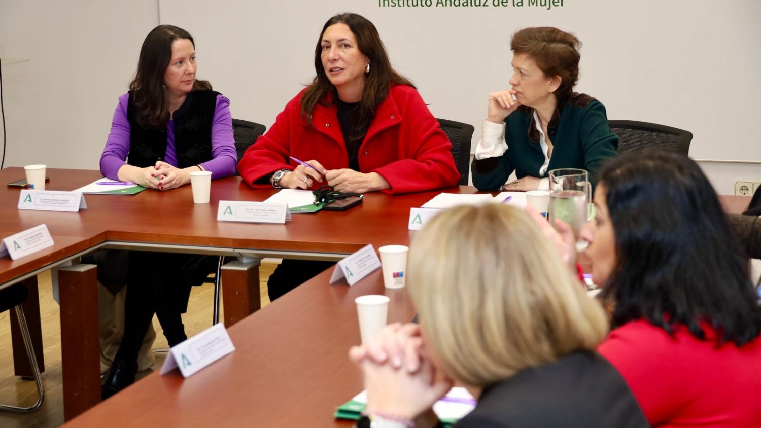 La Junta formará a profesionales para mejorar la prevención y atención de las mujeres con discapacidad víctimas de violencia de género