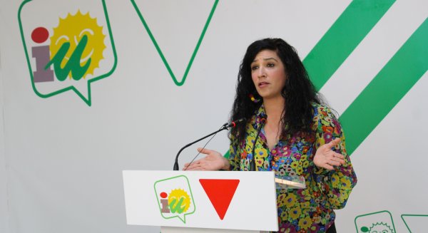 Izquierda Unida urge a que se refuerce el personal de atención a la diversidad en las escuelas públicas de Málaga