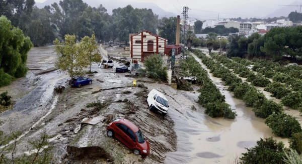 El Gobierno realiza un nuevo pago de ayudas de más de 2M€ a 94 agricultores y ganaderos andaluces afectados por la DANA