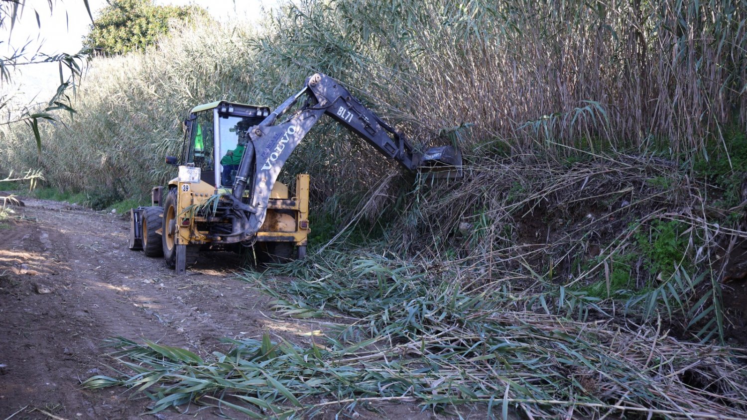El Ayuntamiento de Mijas limpia los cauces de los arroyos para prevenir inundaciones e incendios