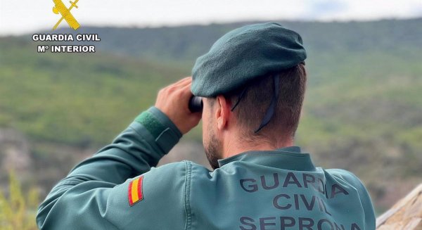 Investigadas 42 personas tras rescatar 195 animales maltratados en la provincia de Málaga
