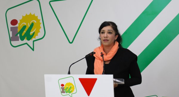 IU Málaga pide a Moreno recursos habitacionales para garantizar un techo a todas las víctimas de violencia machista