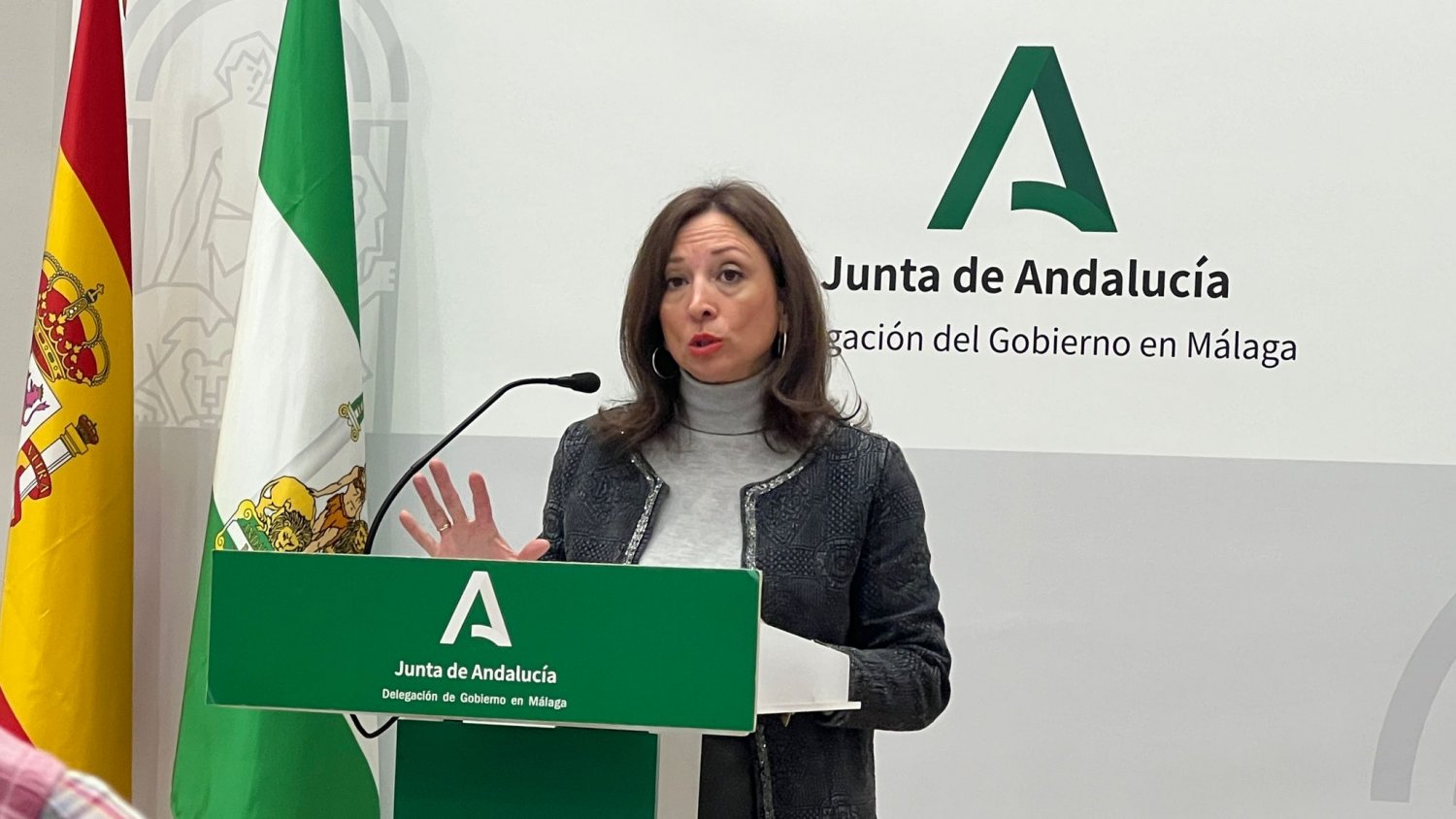 Málaga registra más de 300 incidencias por el temporal y es una de las provincias más afectadas en Andalucía
