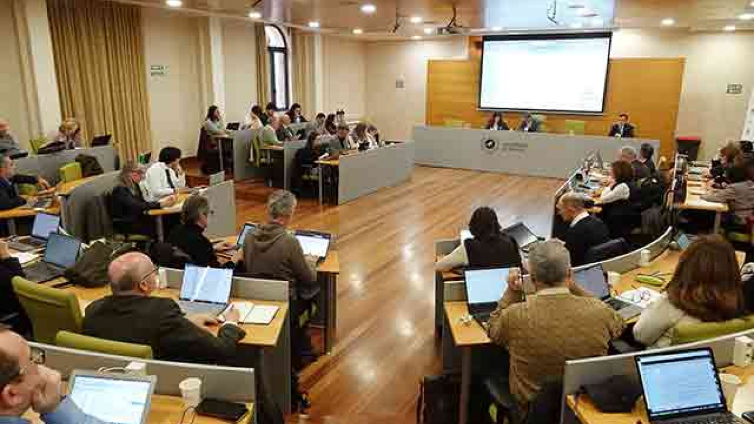 El Consejo de Gobierno de la UMA aprueba la oferta de plazas de nuevo ingreso y acuerdos en materia de personal