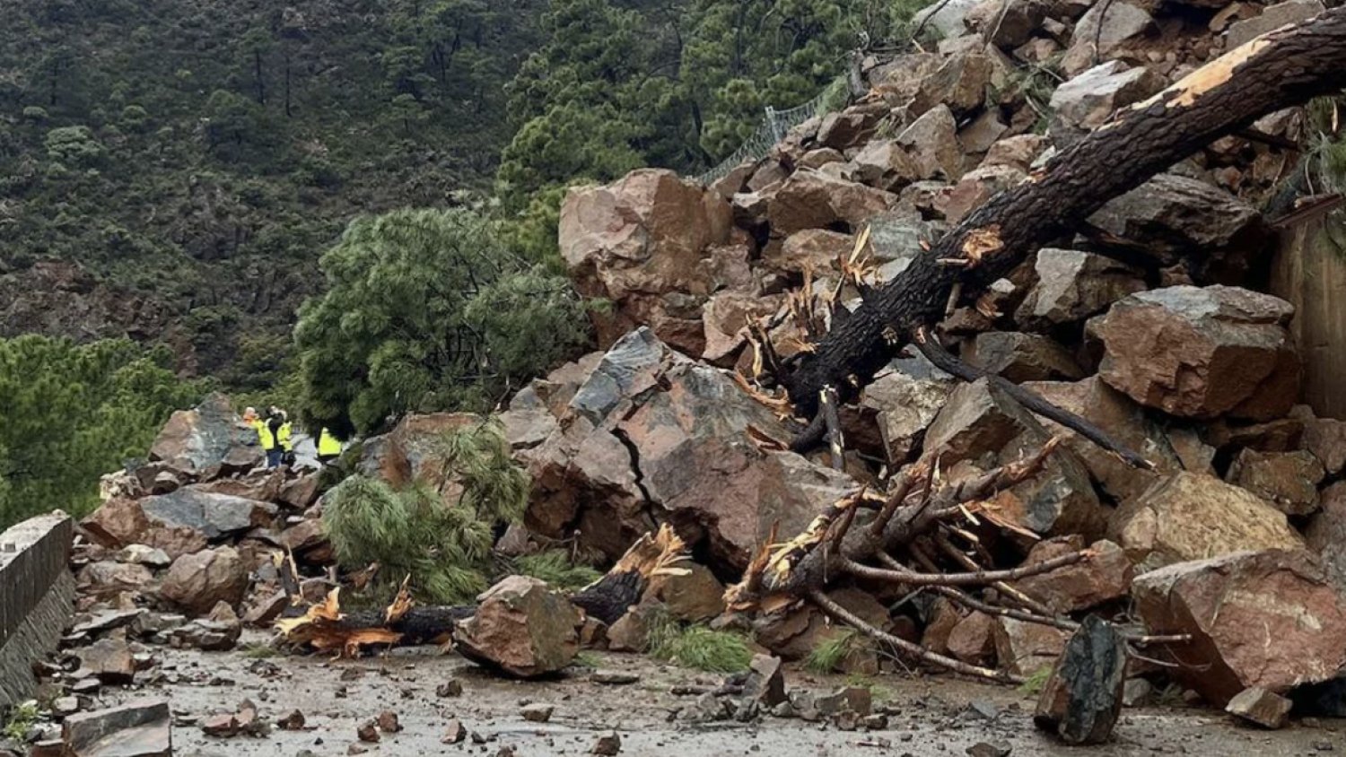 La Junta refuerza la línea de autobús entre la Serranía de Ronda y la Costa del Sol ante el corte de la A-397