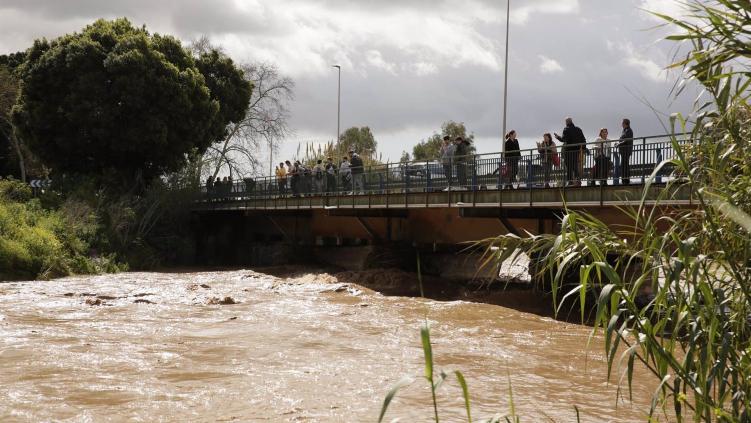 Autorizado el regreso seguro de los vecinos evacuados en la ribera del río Campanillas
