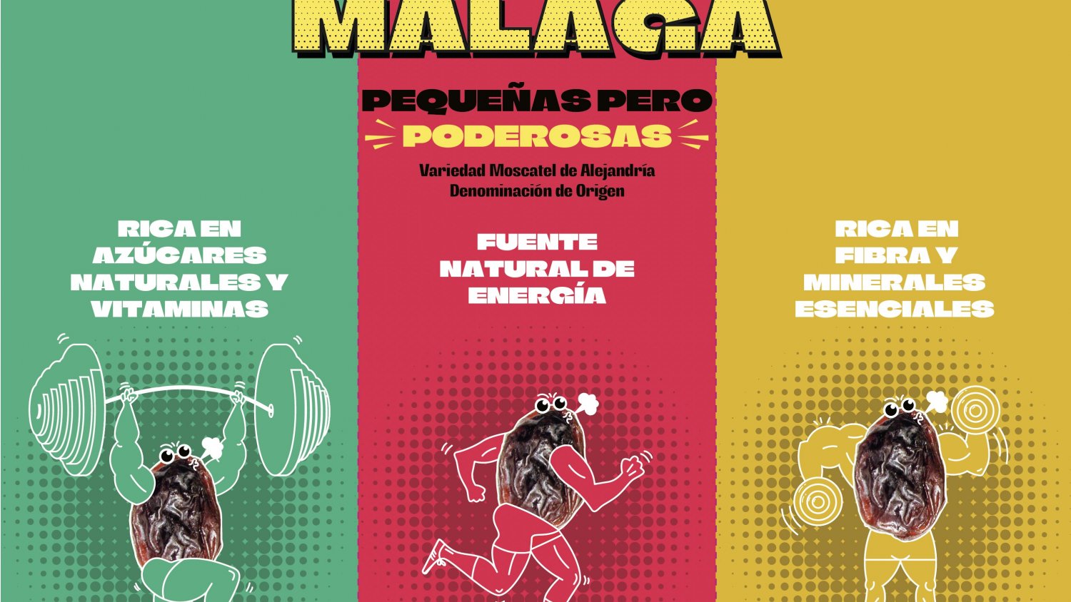 El Consejo Regulador reivindica el consumo de la uva pasa malagueña para la práctica deportiva