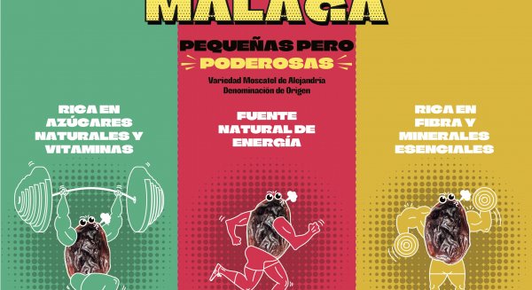 El Consejo Regulador reivindica el consumo de la uva pasa malagueña para la práctica deportiva