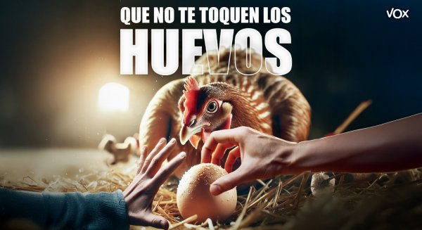 Vox denuncia la ruina del sector  avícola tras una nueva subida de precios 