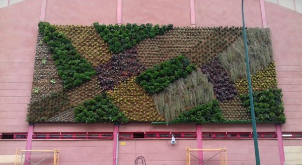 El Ayuntamiento desmontará el jardín vertical de la avenida Europa por el deterioro de su estructura