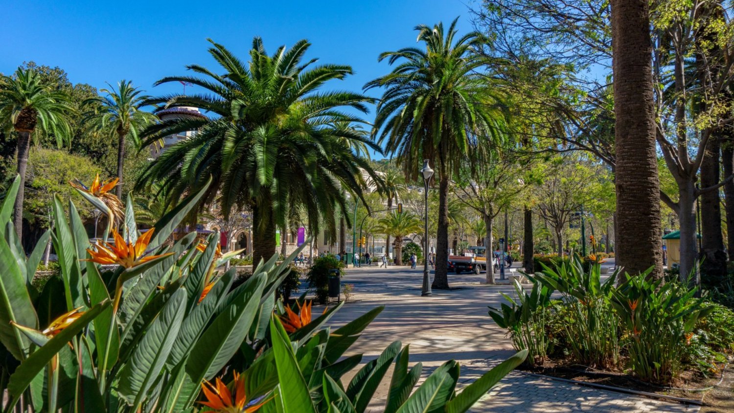 El Paseo del Parque acoge este sábado la final del II Torneo Escolar de Ajedrez