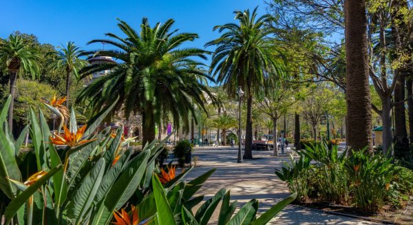 El Paseo del Parque acoge este sábado la final del II Torneo Escolar de Ajedrez