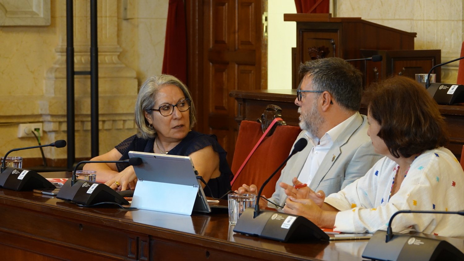 El PSOE pide al PP coherencia con la ley de estabilidad 'ya que De la Torre fue el ponente de la ley que imposibilita el uso de remanentes'