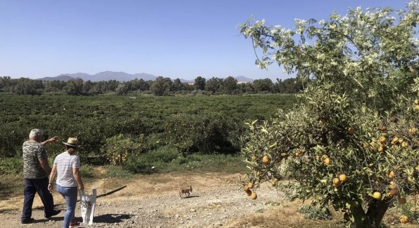 ASAJA Málaga celebra avances legislativos clave para el sector agrario: contratación temporal y doble tarifa eléctrica