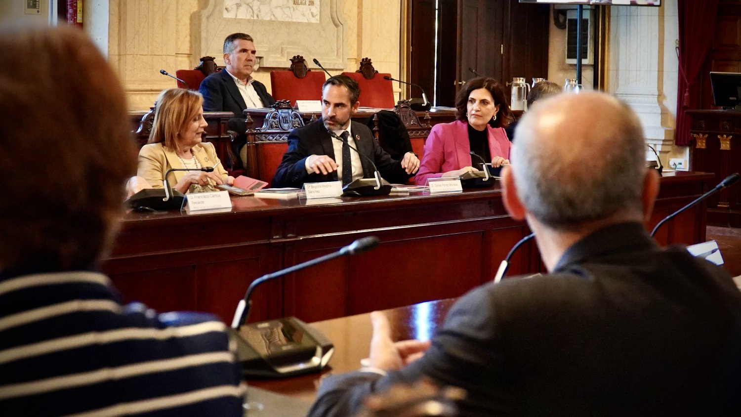 El PSOE lamenta que De la Torre 'excluya el debate de la vivienda del Consejo Social de Málaga'
