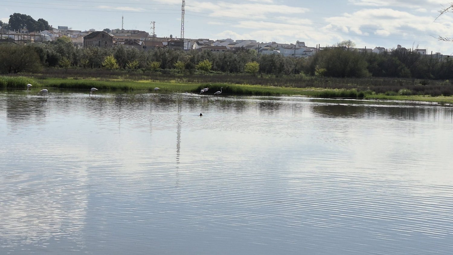 La Junta impulsa la sostenibilidad agrícola en el entorno de la Laguna de Fuente de Piedra