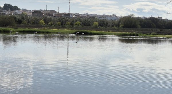 La Junta impulsa la sostenibilidad agrícola en el entorno de la Laguna de Fuente de Piedra