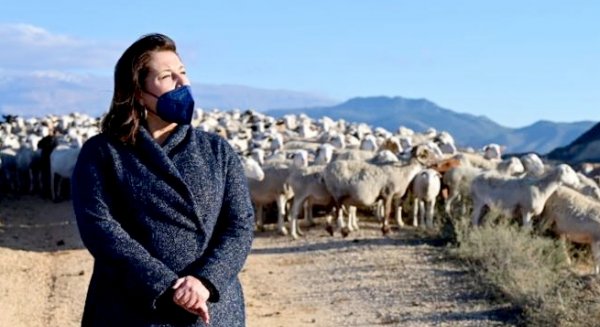 La Red de Áreas Pasto-Cortafuegos multiplica por 8 su superficie de actuación hasta las 5.700 hectáreas