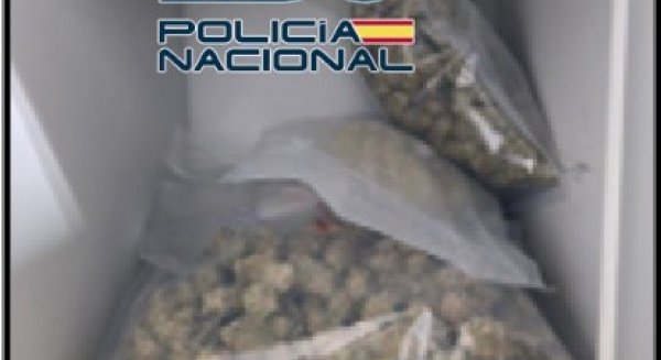 Desmantelado en Vélez-Málaga un club cannábico que funcionaba como punto de venta de sustancias estupefacientes