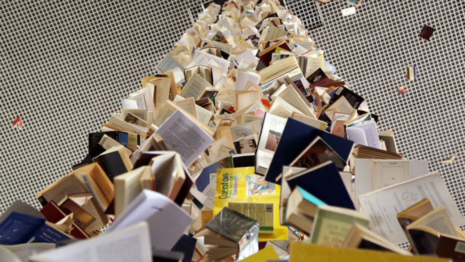 Día Internacional del libro en la UMA: planes literarios para todos los gustos