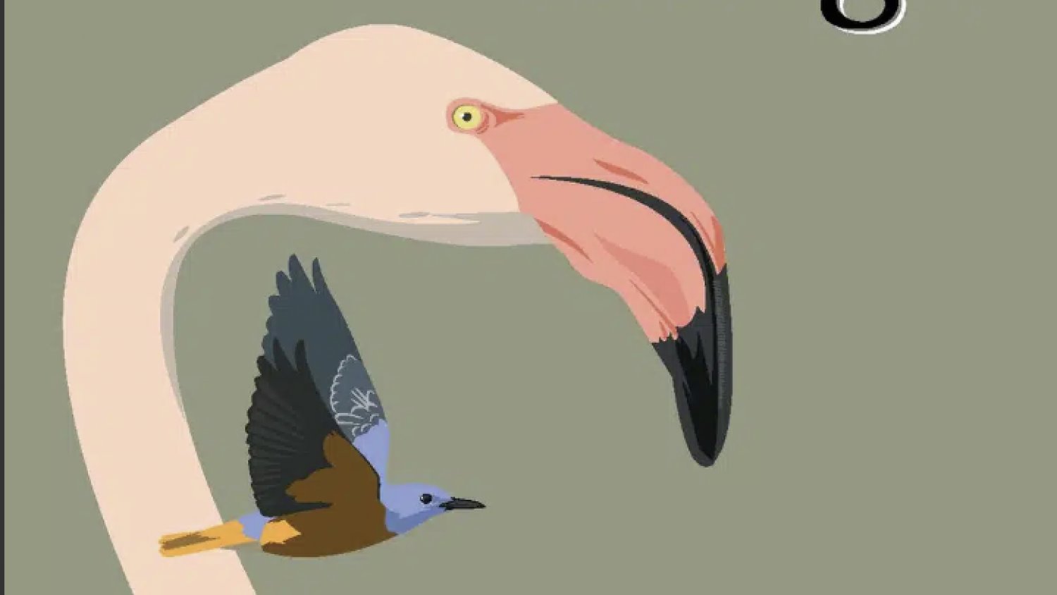 Montejaque celebra este fin de semana un festival dedicado a las aves con el apoyo de la Diputación