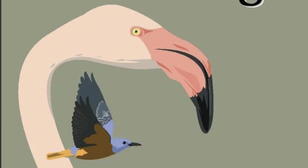 Montejaque celebra este fin de semana un festival dedicado a las aves con el apoyo de la Diputación