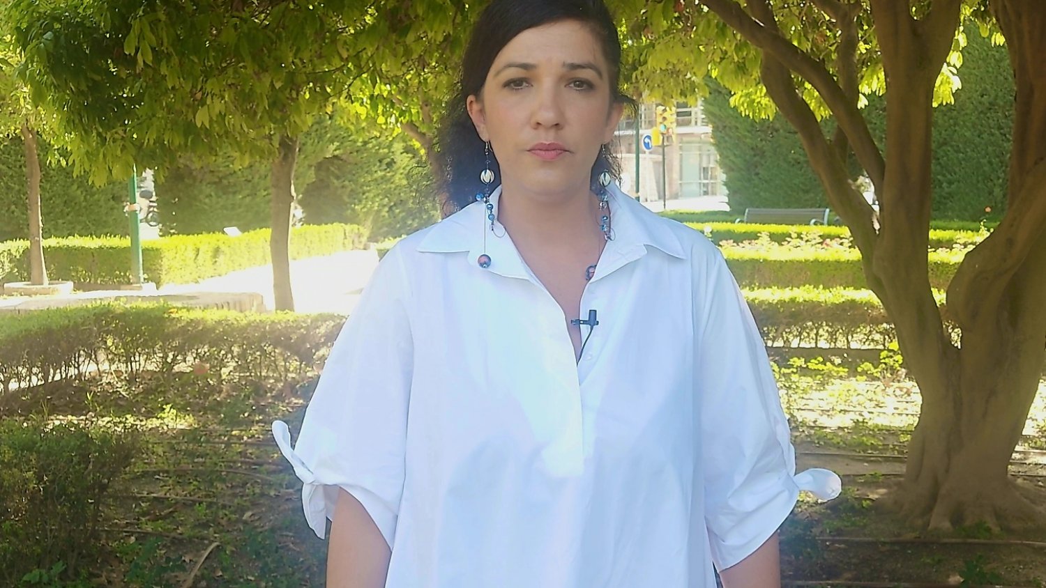 IU exige al PP que 'se ponga las pilas para que haya vivienda asequible' tras conocerse que no se ha visado ni un VPO en Málaga
