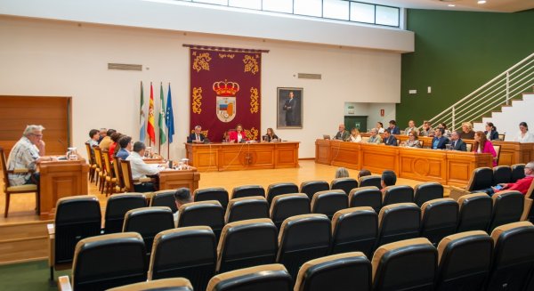 El pleno de Torremolinos acuerda el modelo de gestión para la implantación de la zona azul en el municipio