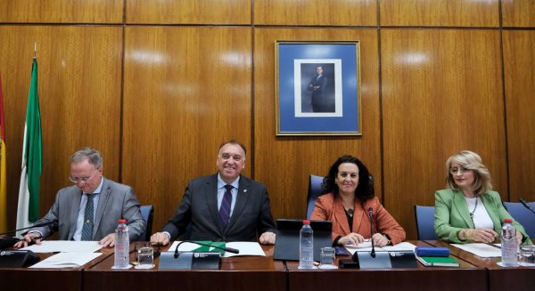 La Junta afirma que ha cancelado 2.392 Viviendas de Uso Turístico desde que comenzó 2025