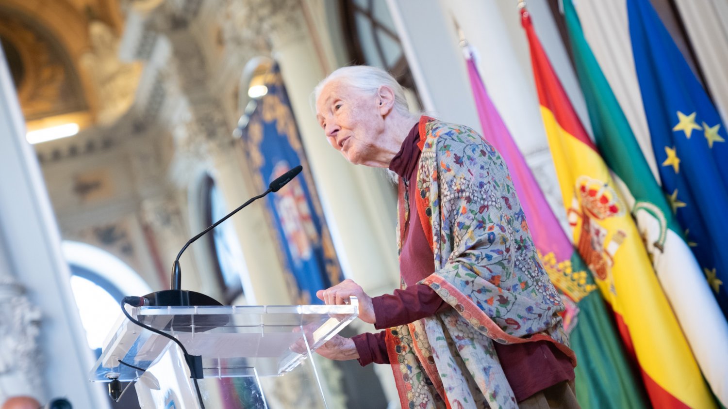 Málaga acoge la única conferencia en España de la doctora Jane Goodall dentro de su gira mundial