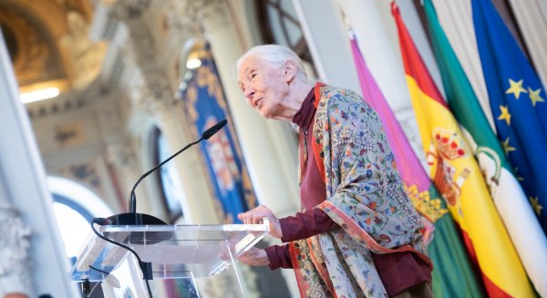 Málaga acoge la única conferencia en España de la doctora Jane Goodall dentro de su gira mundial