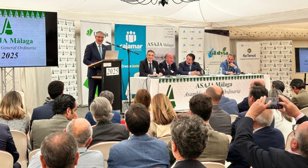 La Diputación refuerza su compromiso con el sector agroalimentario y anuncia una nueva línea de ayudas dotada con tres millones de euros