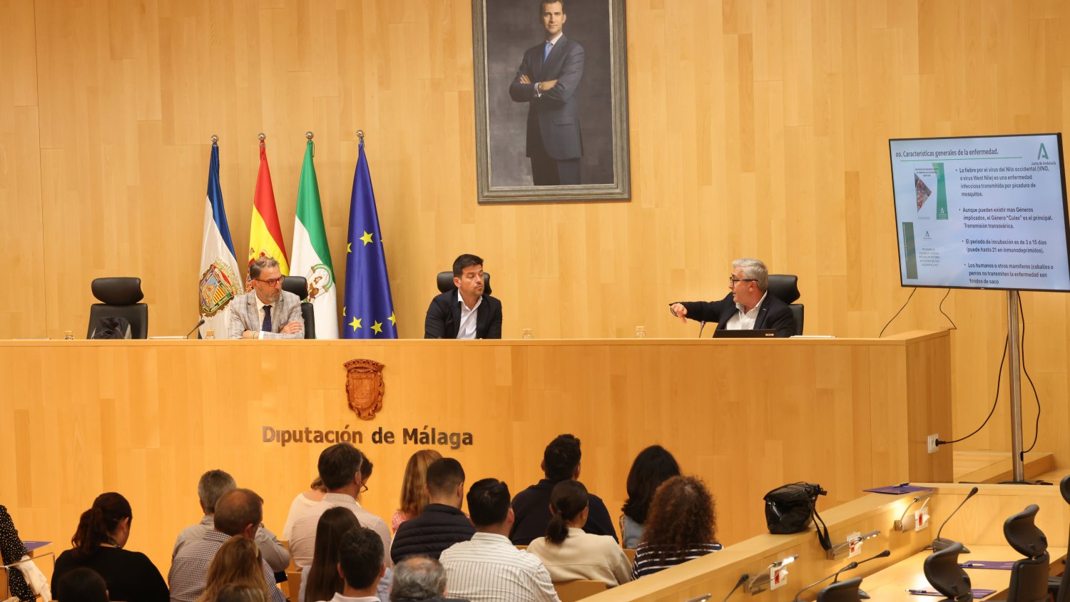 La Diputación coordina junto a Salud un encuentro informativo con ayuntamientos sobre el virus del Nilo