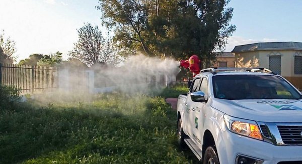 El Ayuntamiento intensifica las tareas de control de mosquitos en el entorno de la desembocadura del Guadalhorce