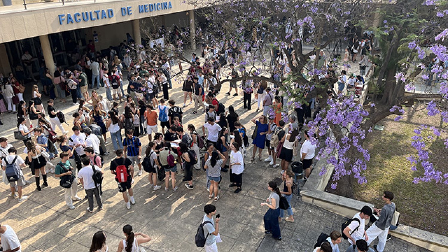 El alumnado malagueño afronta su segundo día de exámenes en la PAU