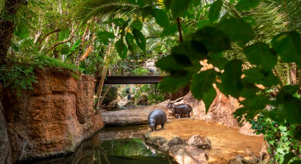 BIOPARC Fuengirola se suma a la campaña #SinContaminaciónPorPlásticos en la  efeméride ambiental de la ONU