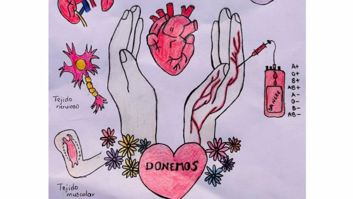 Un dibujo de una alumna de Campillos, imagen oficial de una campaña de sensibilización sobre donación de órganos