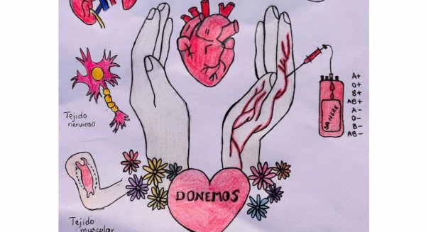 Un dibujo de una alumna de Campillos, imagen oficial de una campaña de sensibilización sobre donación de órganos