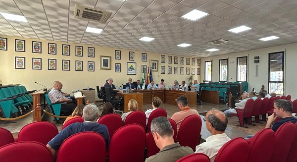 La Junta abre el plazo para solicitar las ayudas excepcionales por las pérdidas de potencial productivo a causa de la DANA 
